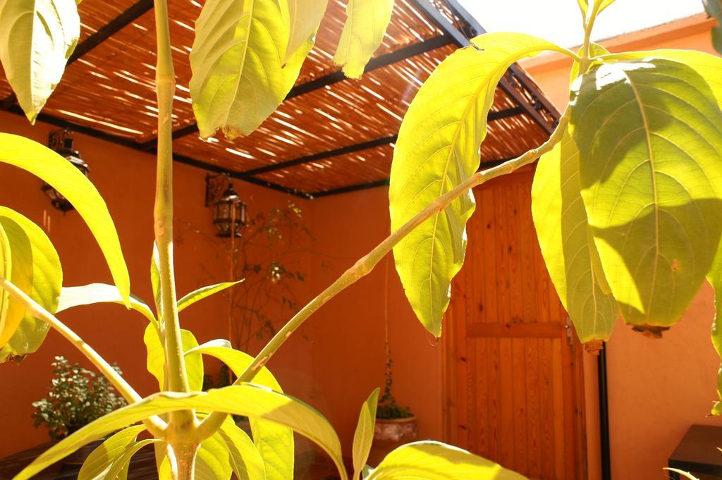 Maison D'Hotes Dar El Nath Ουαρζαζάτ Εξωτερικό φωτογραφία