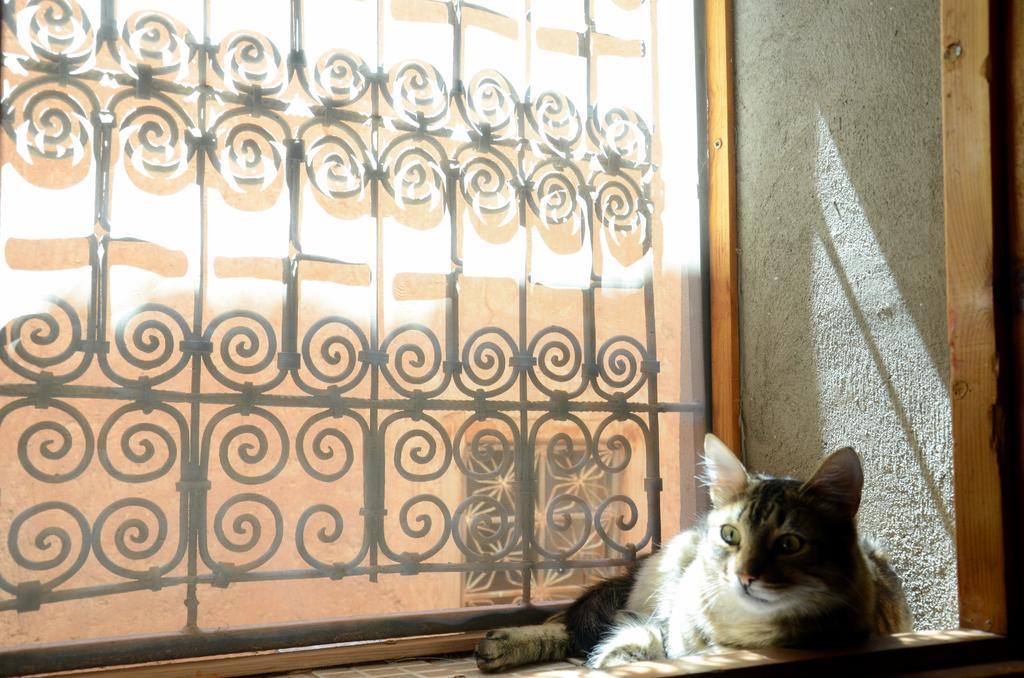 Maison D'Hotes Dar El Nath Ουαρζαζάτ Εξωτερικό φωτογραφία