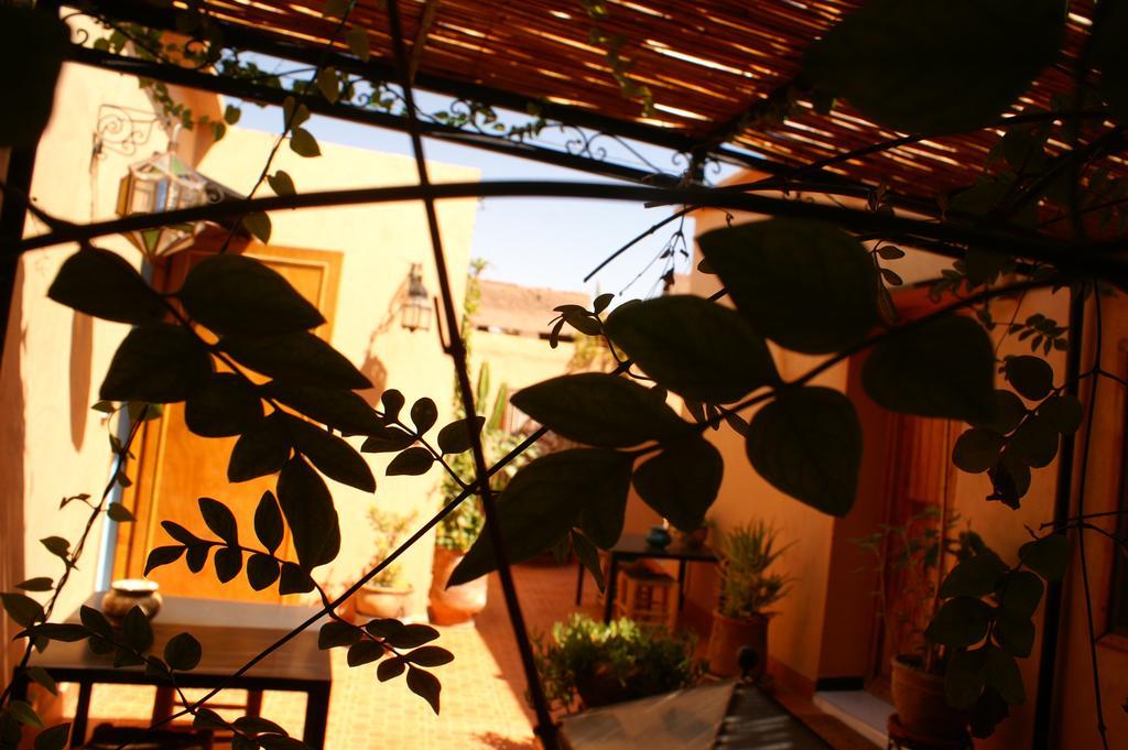 Maison D'Hotes Dar El Nath Ουαρζαζάτ Εξωτερικό φωτογραφία